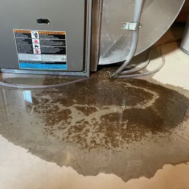 Appliance Leak Cleanup in Millstadt, IL